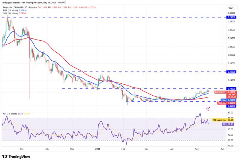 DOGE/USDT daily chart