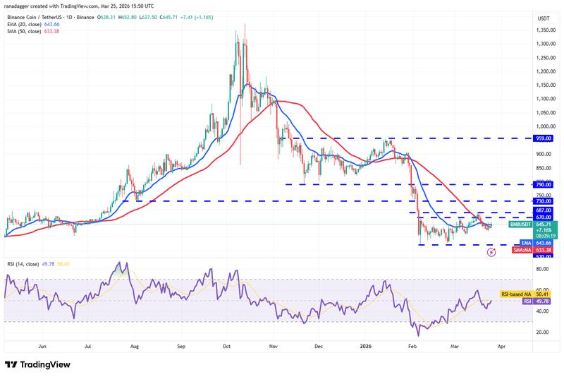 BNB/USDT daily chart