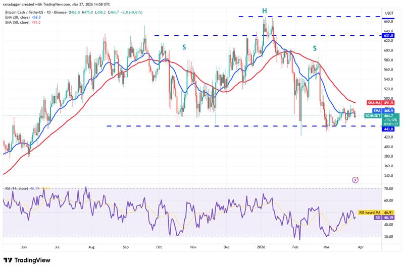 BCH/USDT daily chart
