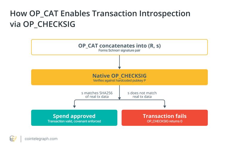 How OP_CSFS verifies an oracle signature against arbitrary