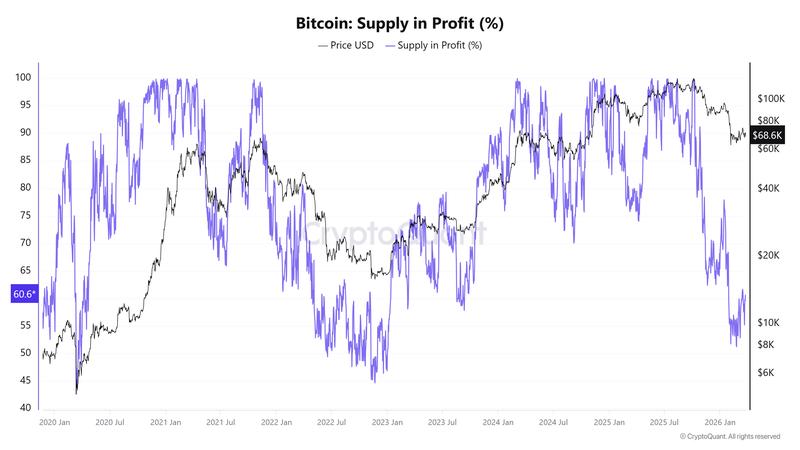 Bitcoin Supply in Profit (%) chart