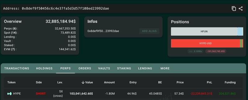 HYPE whale perpetual positions dashboard