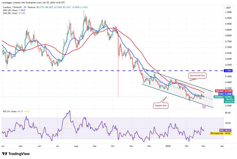 ADA/USDT daily chart