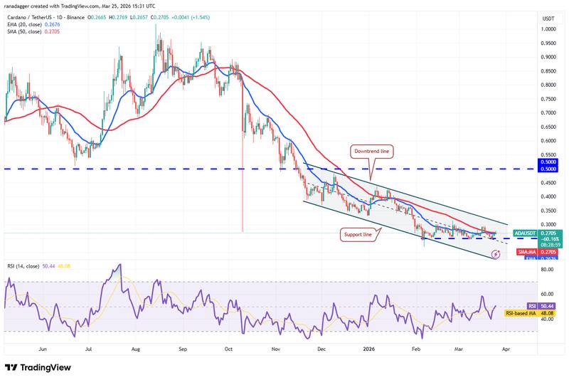 ADA/USDT daily chart