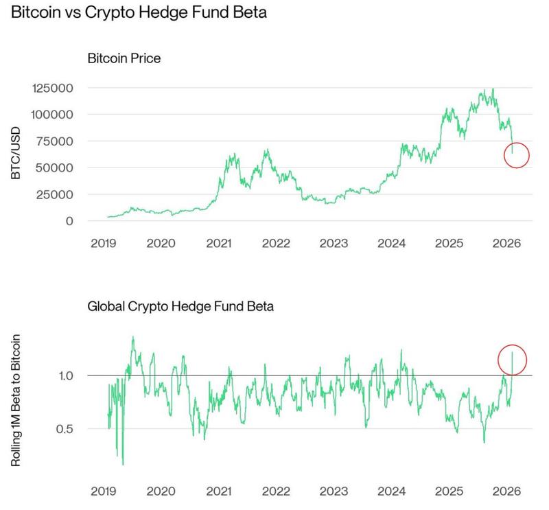 Global crypto hedge fund beta