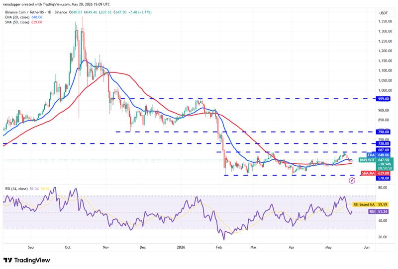 BNB/USDT daily chart