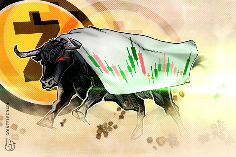 ZEC token defies market decline with 88% breakout pattern amid privacy coin surge