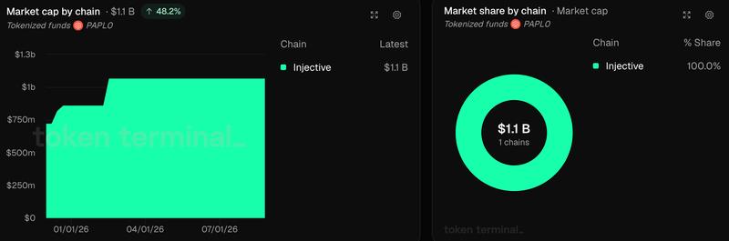 PAPL0 market cap chart