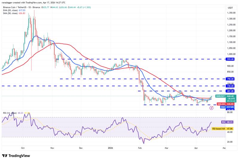 BNB/USDT daily chart