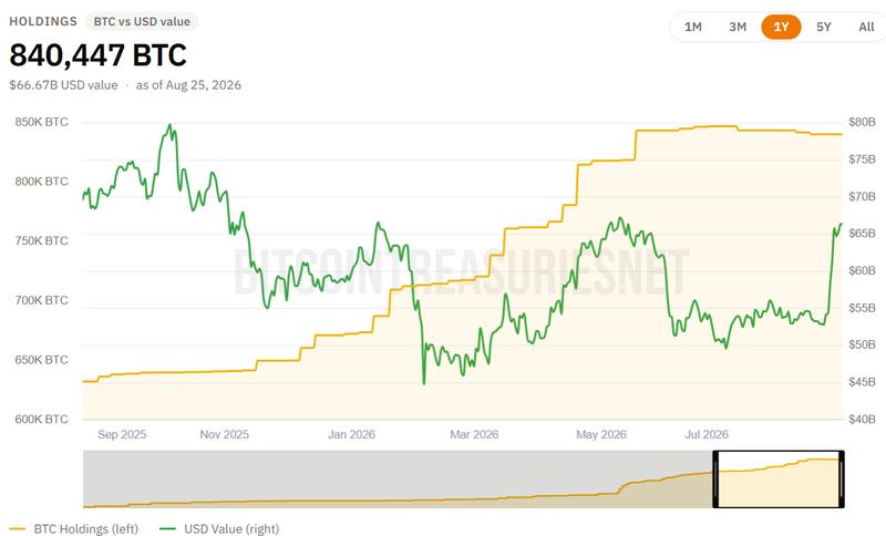 Strategy Bitcoin holdings chart