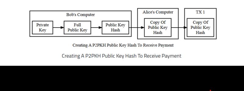 Bitcoin P2PKH public key hash process