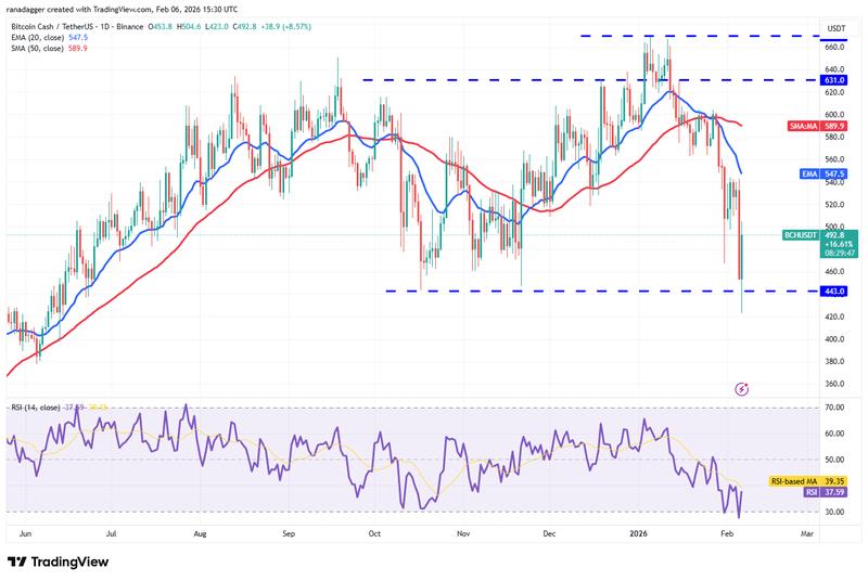 BCH/USDT daily chart