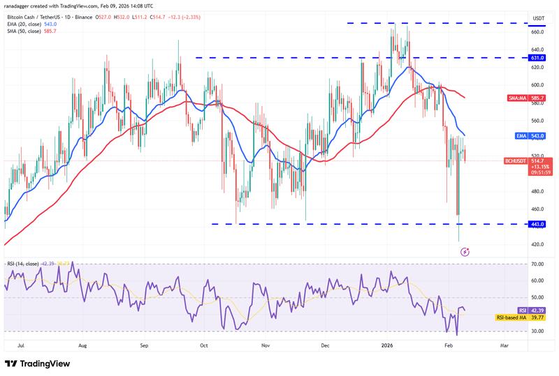 Daily chart for BCH/USDT