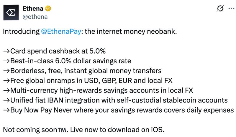 Ethena Pay app interface