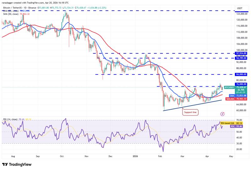 BTC/USDT daily chart
