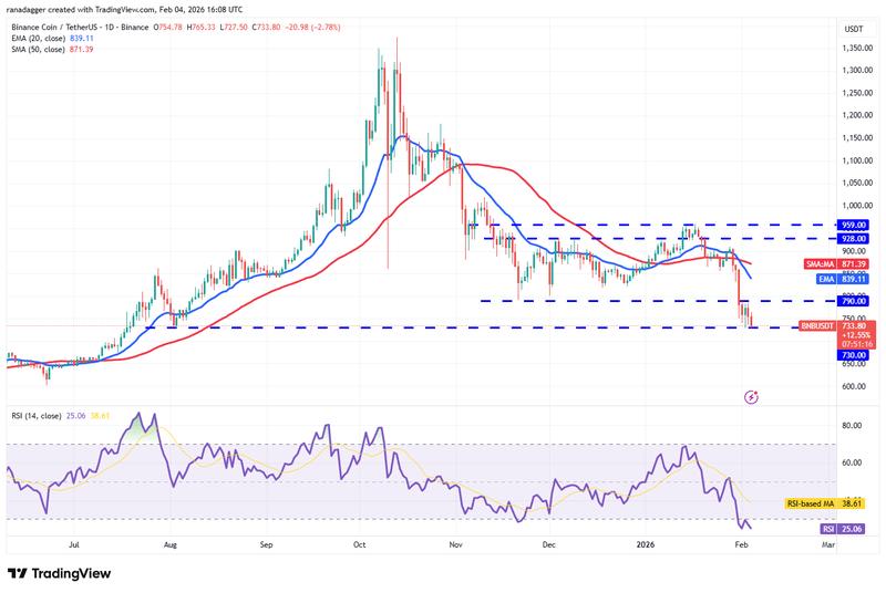 BNB/USDT daily chart