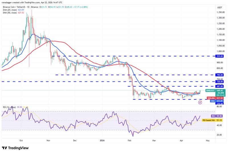 BNB/USDT daily chart
