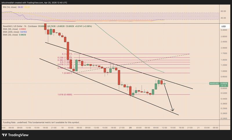 RAVE/USD daily chart