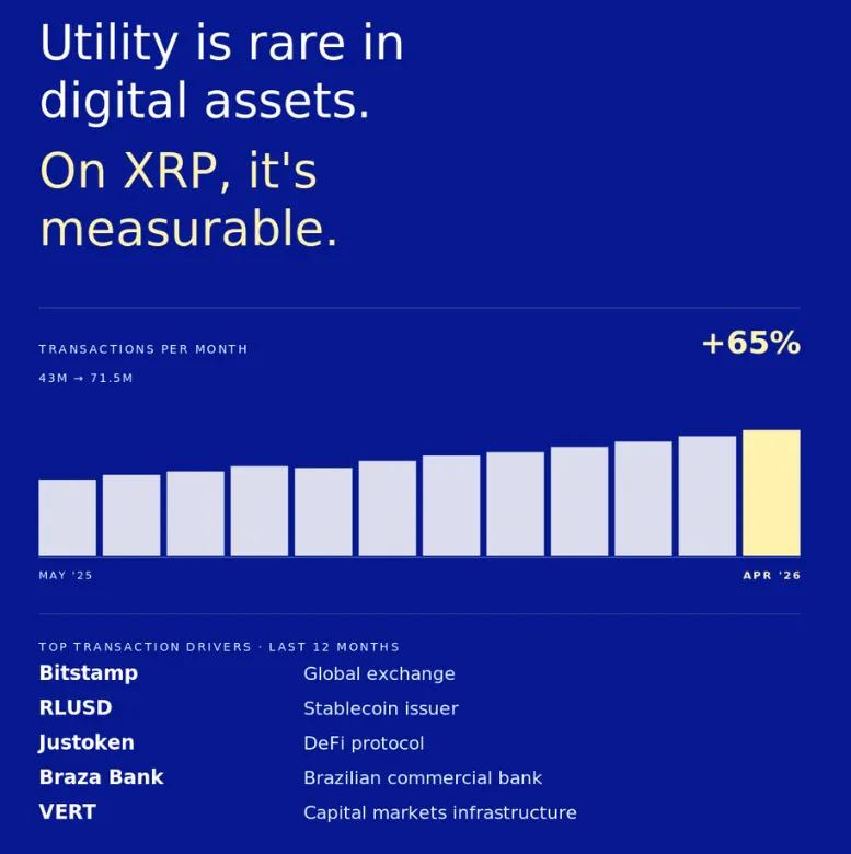 XRPL transaction activity chart