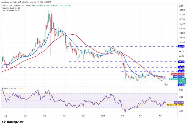 BNB/USDT daily chart