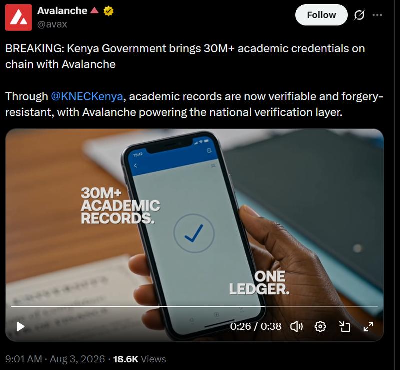 Avalanche blockchain verification system
