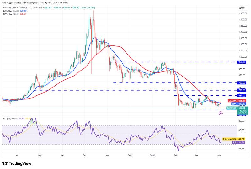 BNB/USDT daily chart