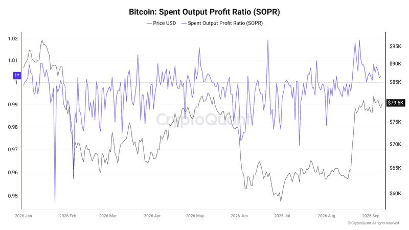 Bitcoin SOPR chart