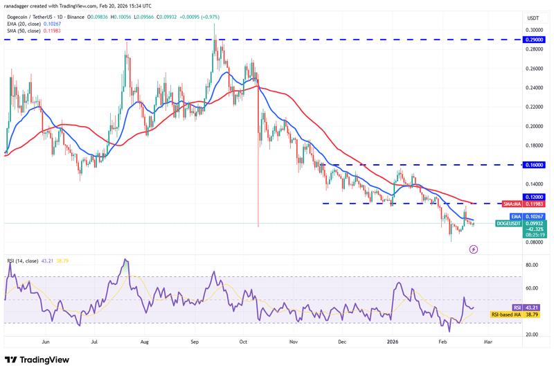 DOGE/USDT daily chart