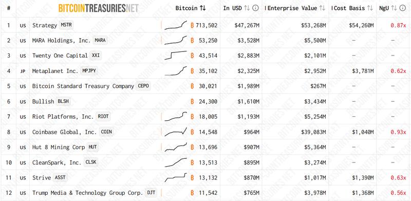 Bitcoin holdings from public companies