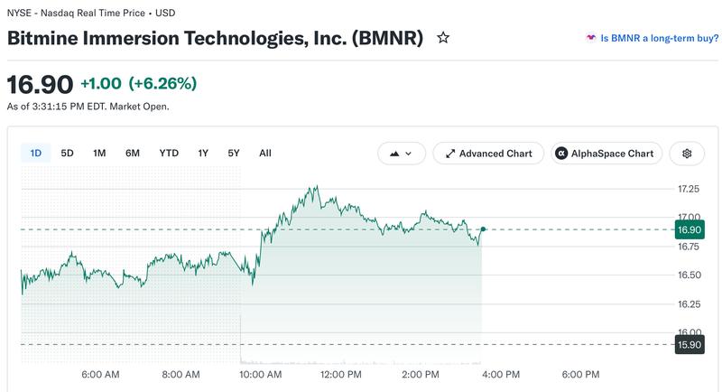 Bitmine stock performance