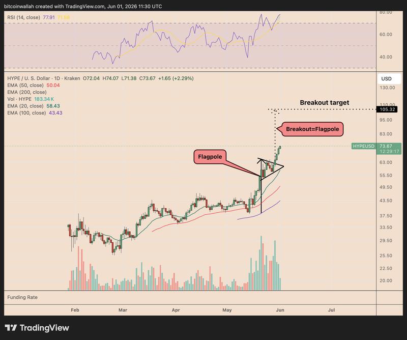 HYPE/USD daily chart showing bull pennant pattern