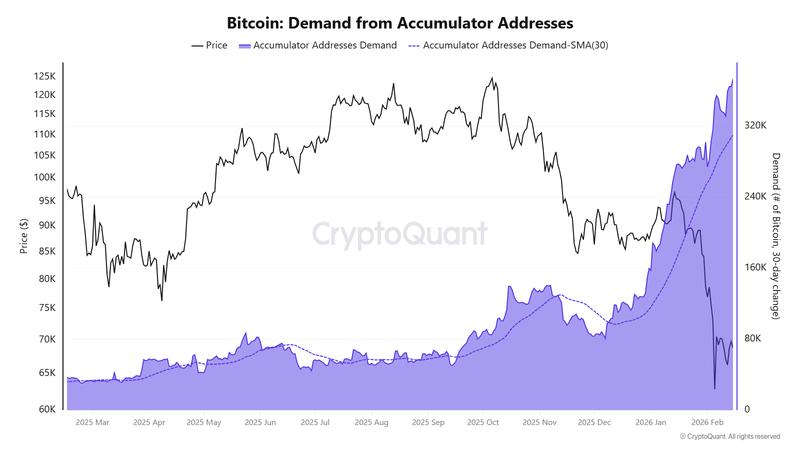 Cryptocurrencies, Bitcoin Price, Adoption, Markets, Cryptocurrency Exchange, Price Analysis, Market Analysis, Liquidity, Whale