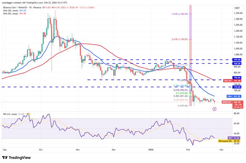 BNB/USDT daily chart