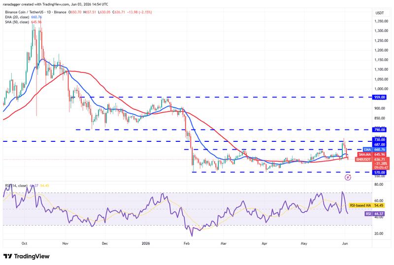 BNB/USDT daily chart