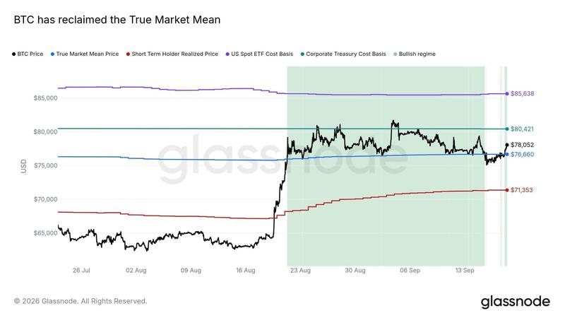 Bitcoin cost-basis data
