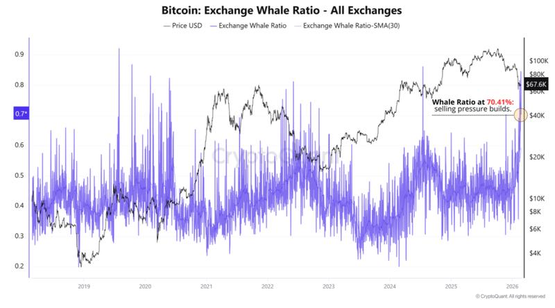 Bitcoin Exchange Whale Ratio data