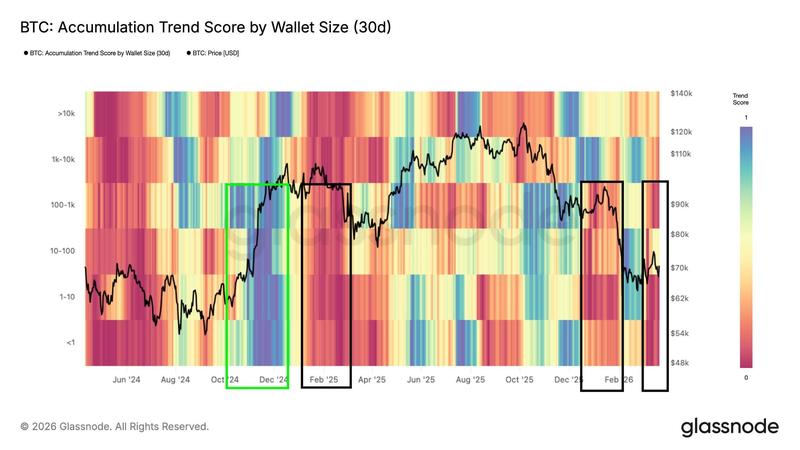 Bitcoin accumulation trend score by cohort
