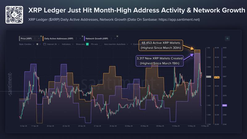 XRP Ledger daily active addresses and network growth