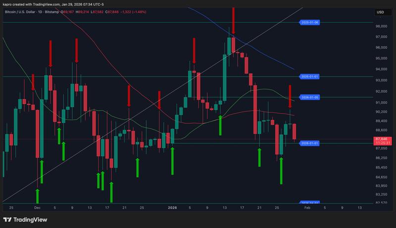 BTC/USD 1-day candle chart