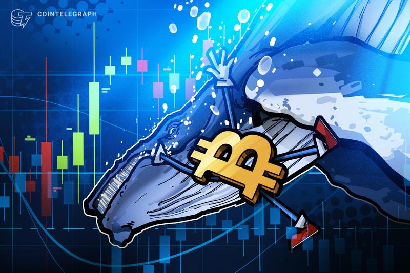 BTC Whale Maintains Bearish Stance Despite $13M Unrealized Losses