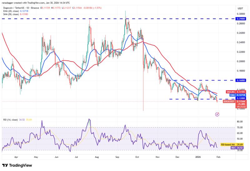 DOGE/USDT daily chart
