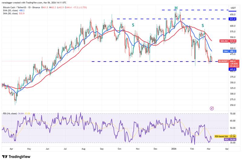 BCH/USDT daily chart