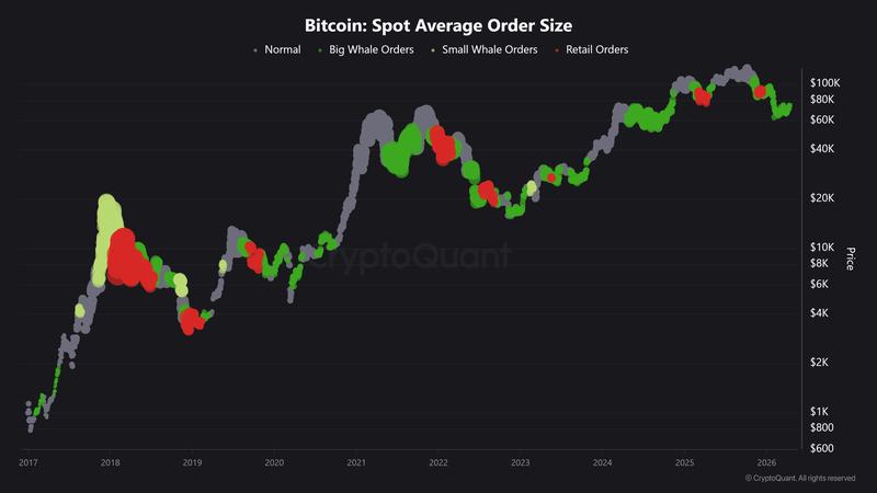 Bitcoin spot average order size