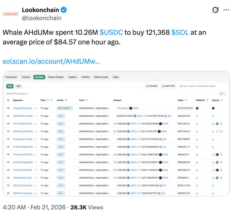 Whale buying activity