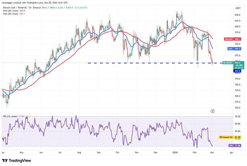 BCH/USDT daily chart