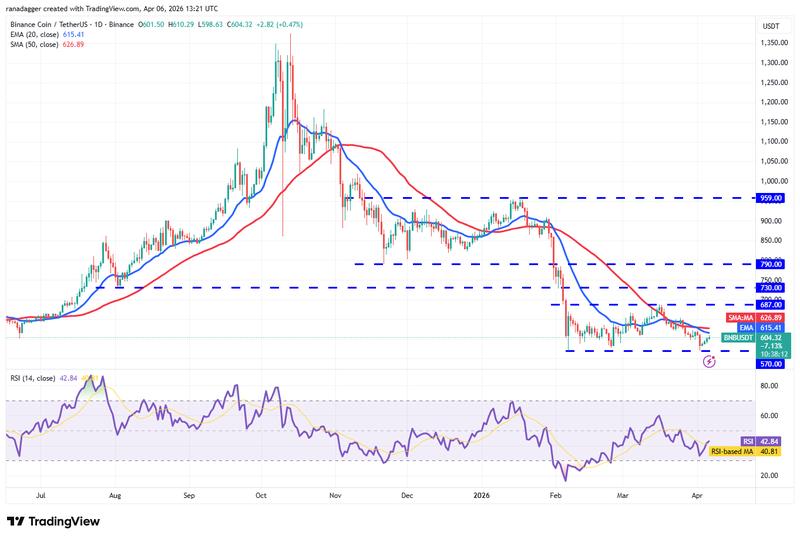 BNB/USDT daily chart