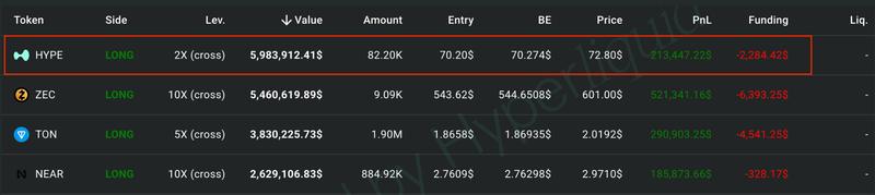 Loracle.hl's open perpetual trades