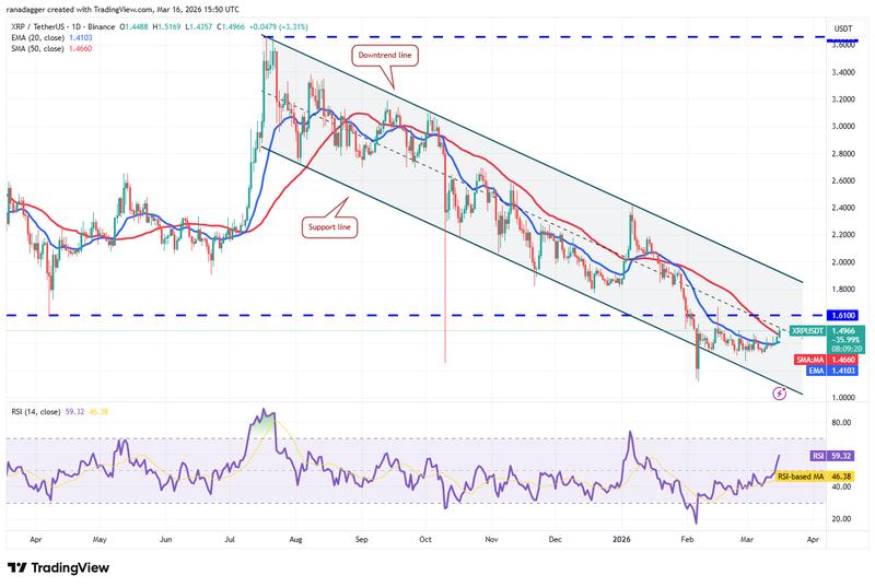 XRP/USDT daily chart