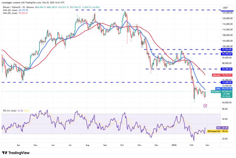 Daily chart for BTC/USDT