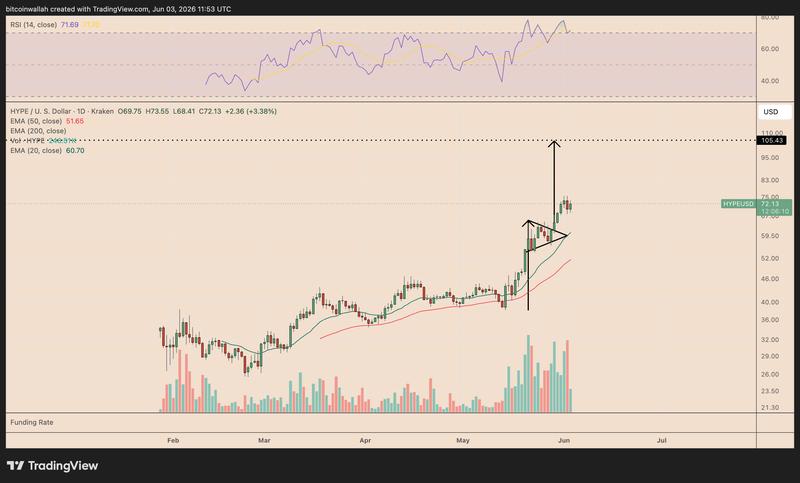 HYPE/USD daily chart